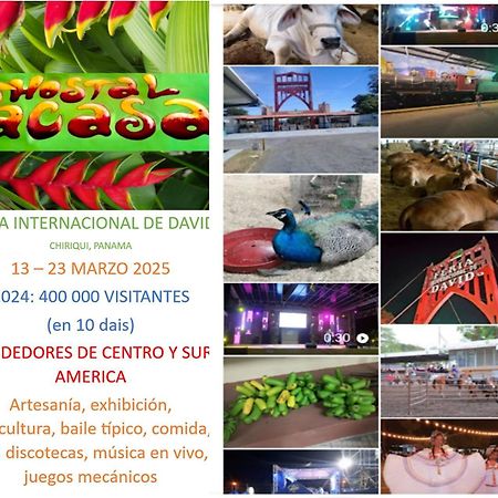 Pacasa Hostel David Εξωτερικό φωτογραφία