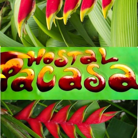 Pacasa Hostel David Εξωτερικό φωτογραφία