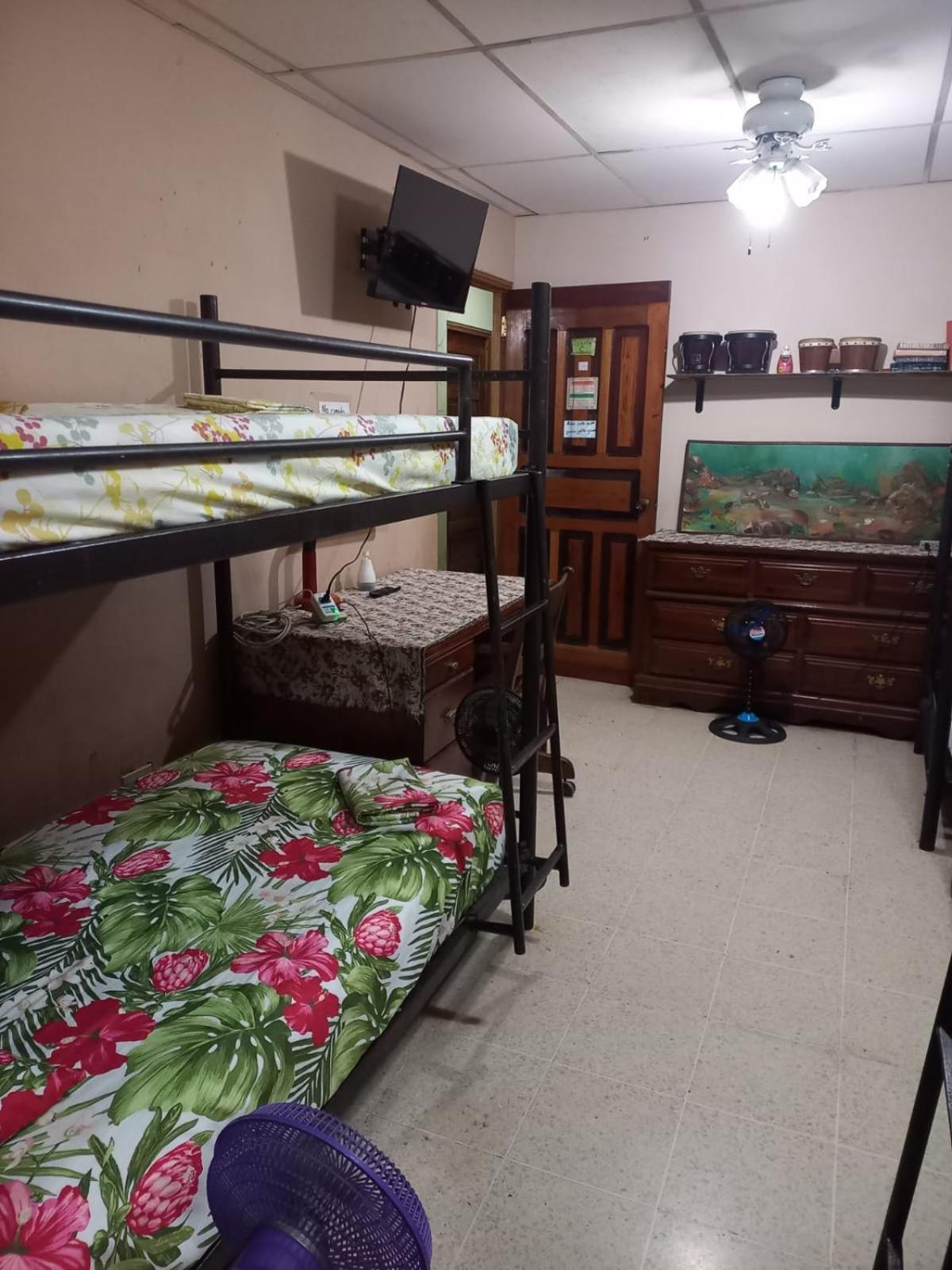 Pacasa Hostel David Εξωτερικό φωτογραφία