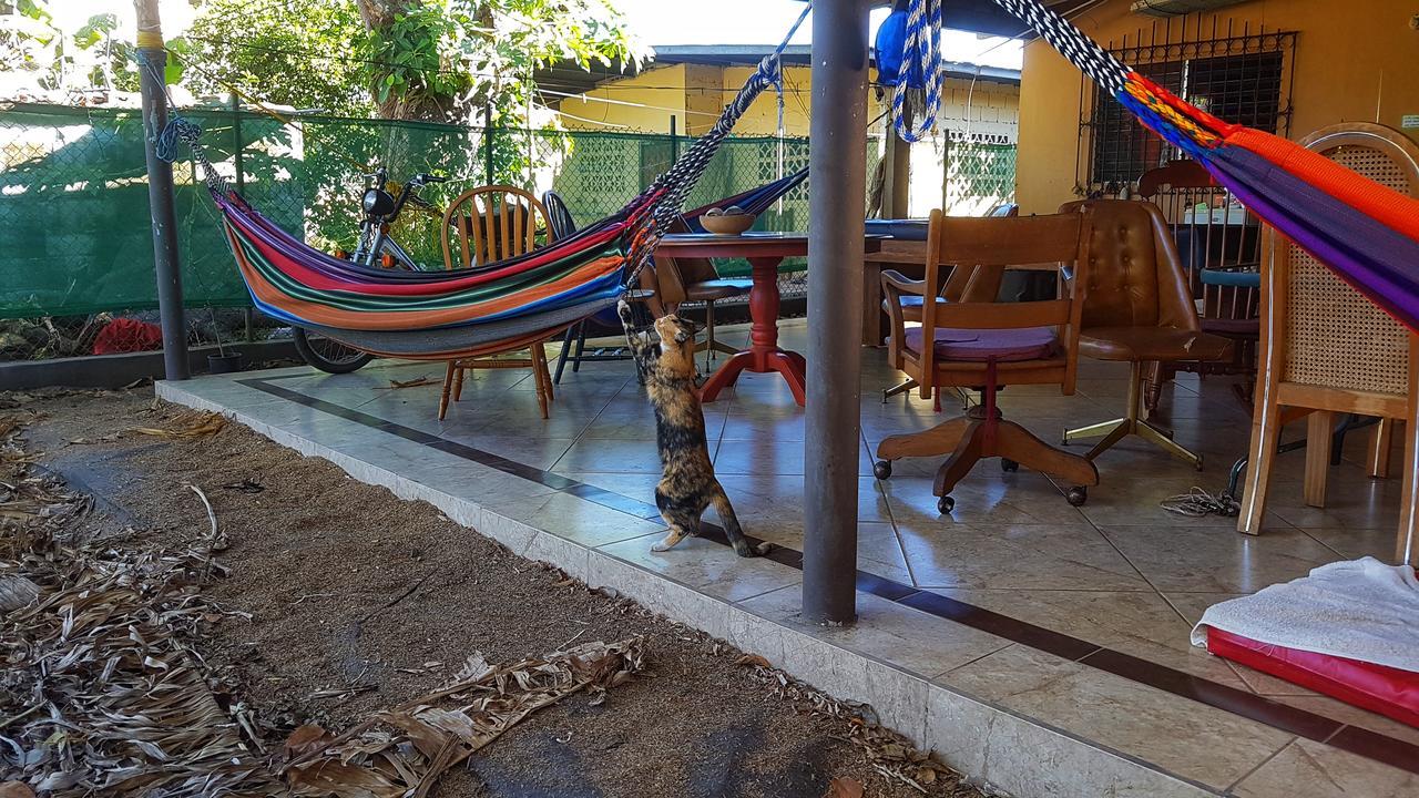 Pacasa Hostel David Εξωτερικό φωτογραφία