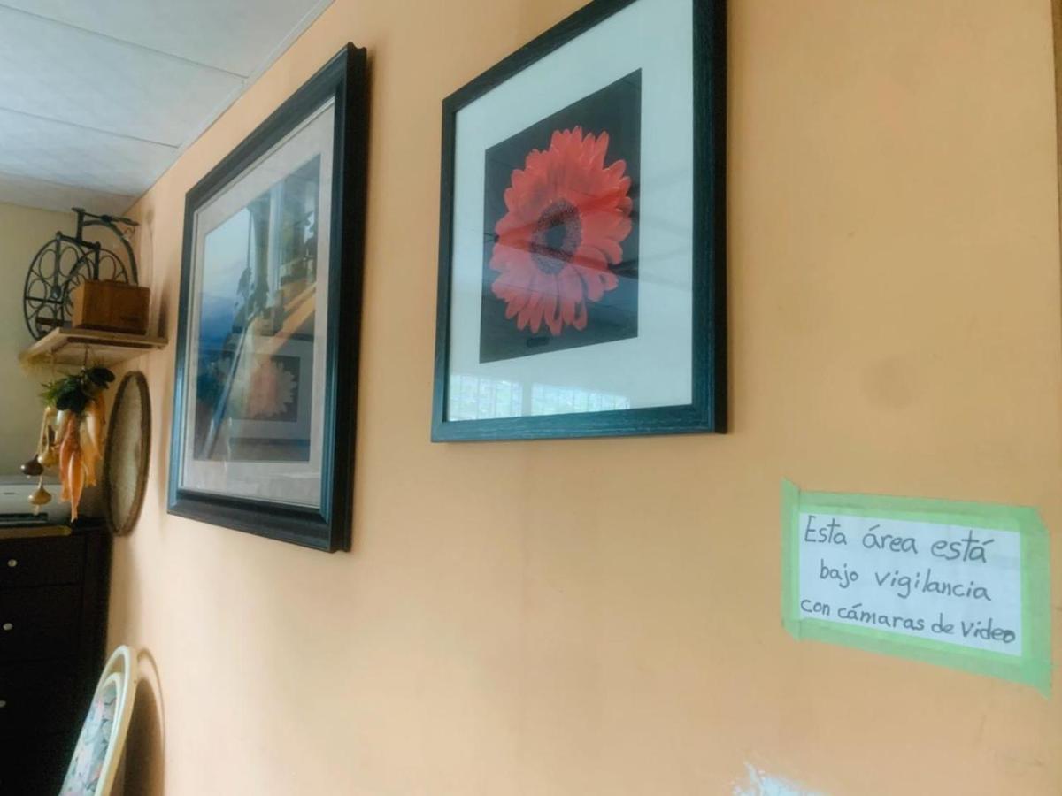Pacasa Hostel David Εξωτερικό φωτογραφία