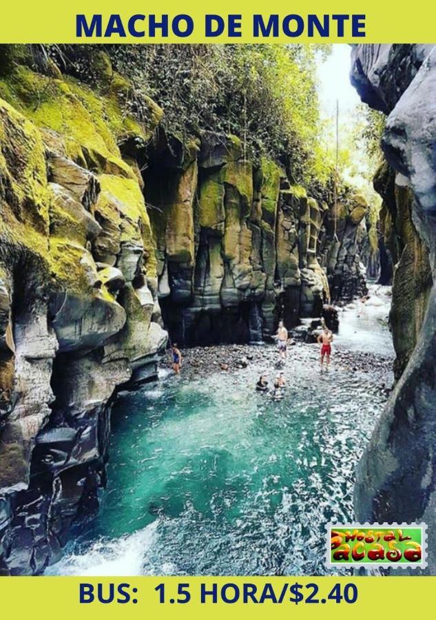 Pacasa Hostel David Εξωτερικό φωτογραφία